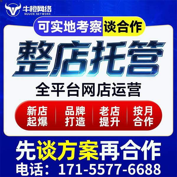 徐州电商代运营
