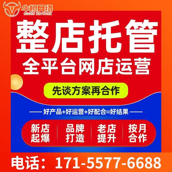 徐州电商代运营