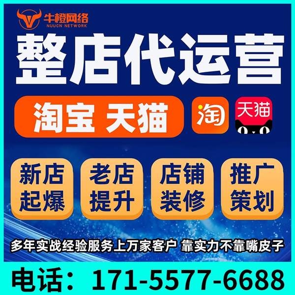 徐州电商代运营
