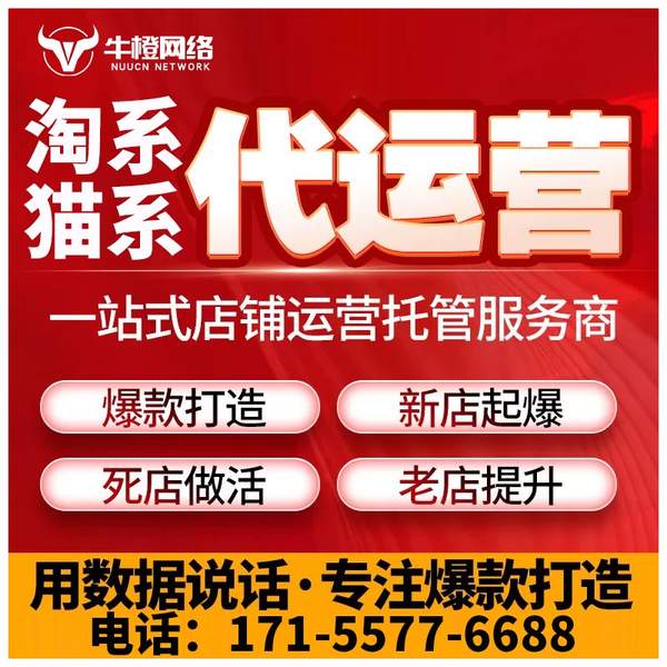 徐州电商代运营